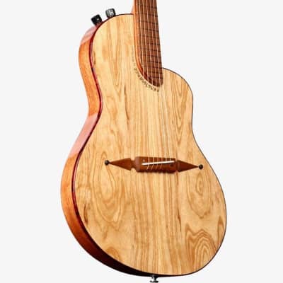 Rick Turner Renaissance RS6 2023 - Ash image 3
