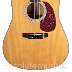 Immagine Martin D-16BH Beck Hansen Signature Acoustic Guitar, Limited Edition - 2