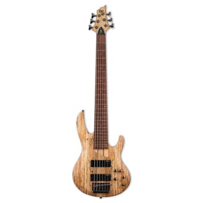 ESP LTD B-206SM 6-String Right-Handed Bass Guitar with Ash Body, Maple and Jatoba Neck, and Roasted Jatoba Fingerboard (Natural Satin) for sale