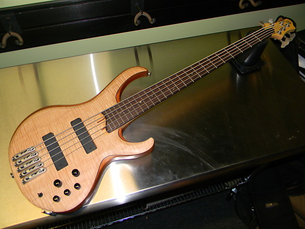 Ibanez btb1005e 2025