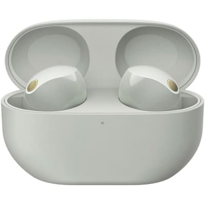 Sony Noise Canceling Truly Wireless Earbuds, Silver + Accessories + Warranty Bundle image 19