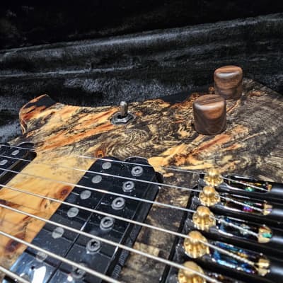 ギター Overload Custom Guitars Themis 8 Themis 8 | 【クロサワ楽器店オンラインショップ】いい楽器との