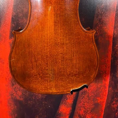 Carlo Robelli CR209 Violin (Tampa, FL) image 7