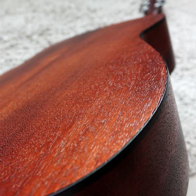 Cort AF510OP Standard Series Concert Body Spruce Top Mahogany Neck 6-String Acoustic Guitar image 6