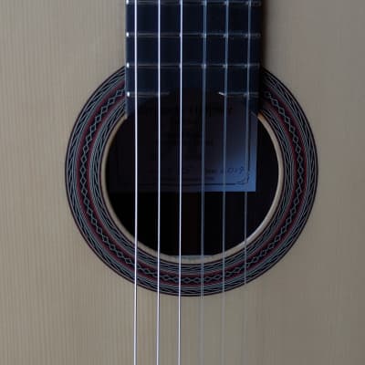 2019 Darren Hippner Torres Model Rosewood and Spruce Classical Guitar image 6