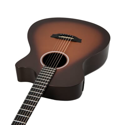 Rainsong APSE Al Petteway Special Edition Acoustic Guitar, 19170 image 9