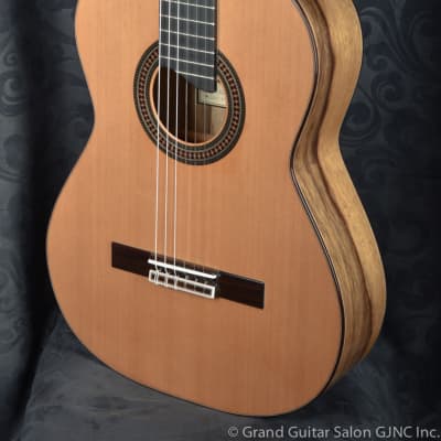 Raimundo Tatyana Ryzhkova Signature model, Cedar top  classical guitar image 18