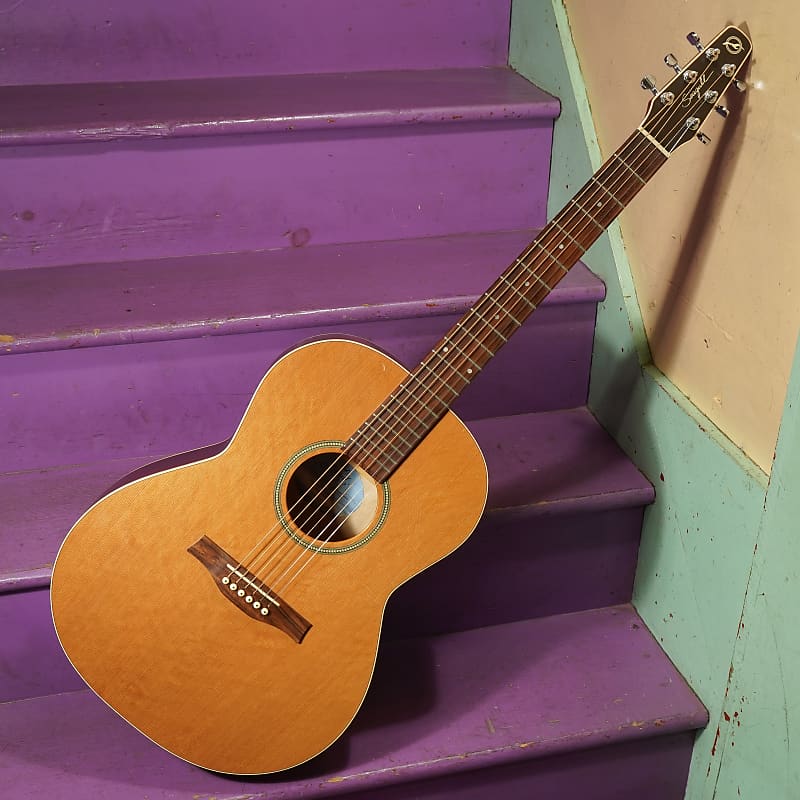 Seagull Coastline S6 Folk Cedar | Reverb