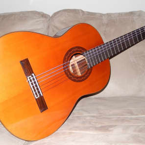 Made by Morris Gakki Morris MC106 Great Japanese Reverb Canada