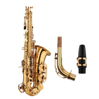Golden Eb Alto Saxophone Sax Brass Body White Shell Keys Woodwind Instrument with Gig Bag Case image 2