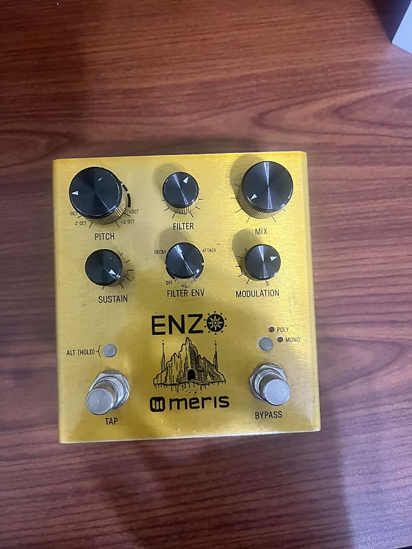Meris Enzo