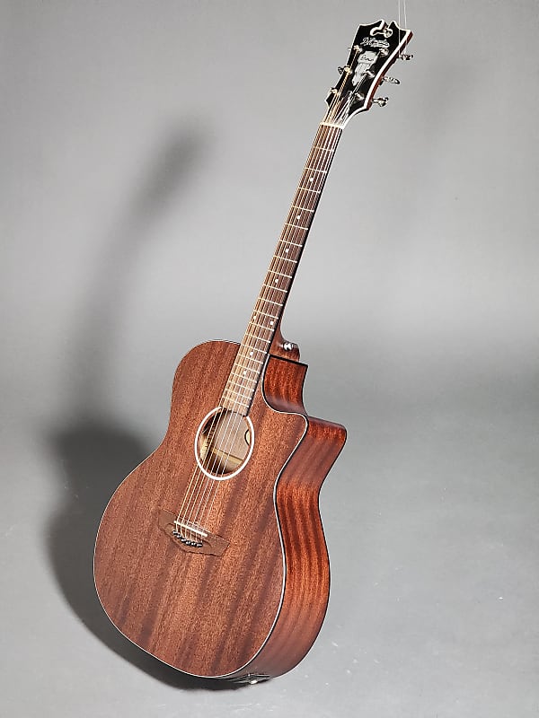 Immagine D'Angelico DAPLSG200MAHCP 2020's - Natural - 1