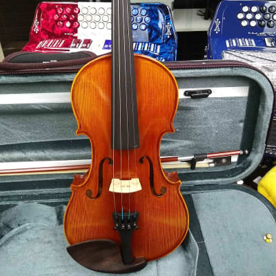 Immagine Vienna Strings Hamburg 300 Violin - 1