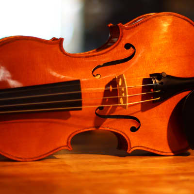 Haddon Brown Violin 4/4 - Sleeping Beauty Stradivari Model image 11