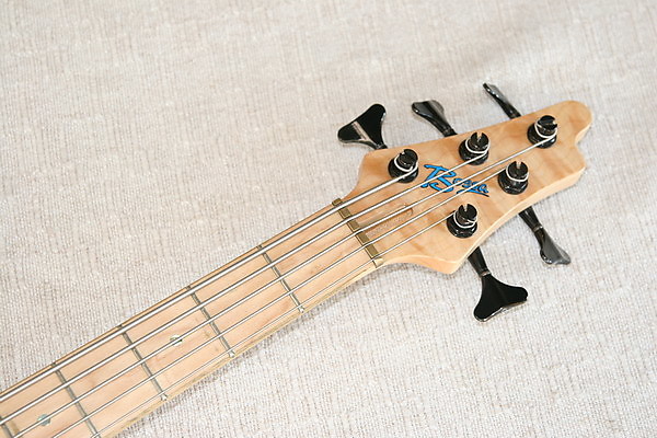 Bossa OB-5 Electric bass Trans Blue | Reverb Bossa OB-5 Electric bass Trans Blue | Reverb