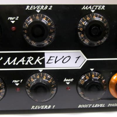 Used DV Mark EVO 1 250W Guitar Head VGC image 4