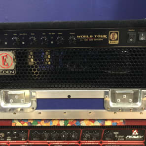 David Eden WTB300v All Tube Bass Amp with Flight Case and