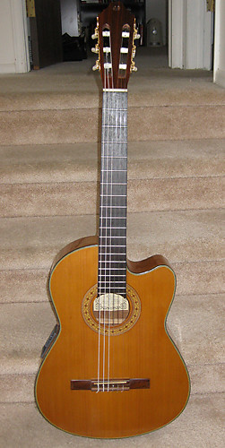 Washburn c64ce deals