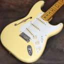 Fender Eric Johnson Signature Stratocaster Thinline Vintage White 02/15