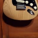 Fender American Professional Stratocaster in Natural