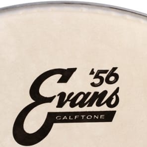 Evans Calftone Drumhead - 12 inch image 2