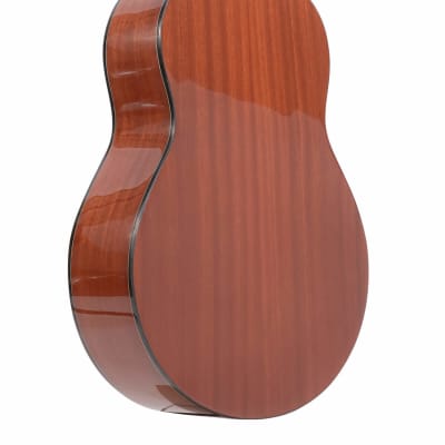 Gold Tone TG-10 Mahogany Neck 4-String Acoustic Tenor Guitar with Gig Bag image 5