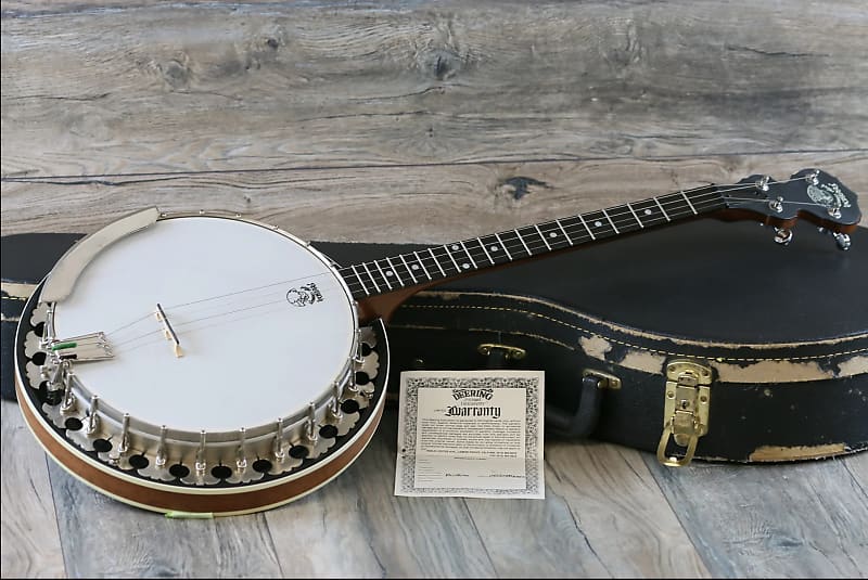 19 fret deals tenor banjo