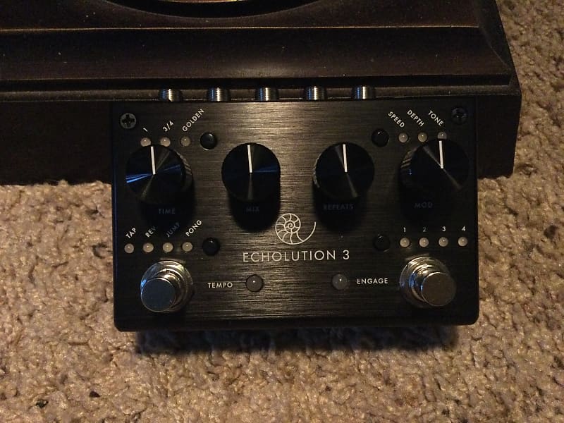 Pigtronix Echolution 3 Delay | Reverb