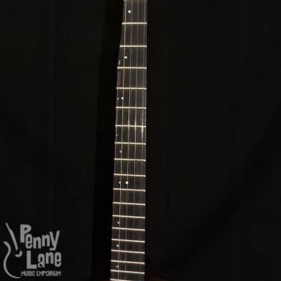Nechville Midnight Phantom 24 Fret 5 String Mahogany Resonator Banjo image 8