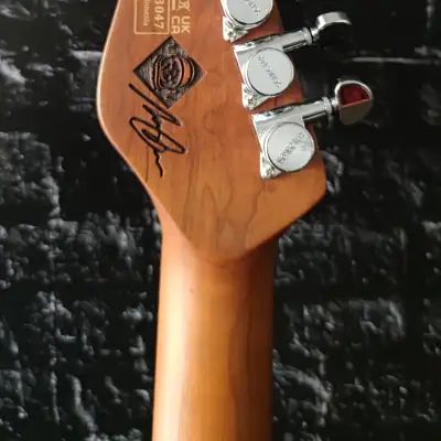 SCHECTER E-Gitarre, Signature Nick Johnston PT, Atomic Ink image 5