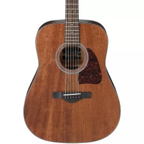 Ibanez AW54OPN Artwood Series Acoustic Guitar