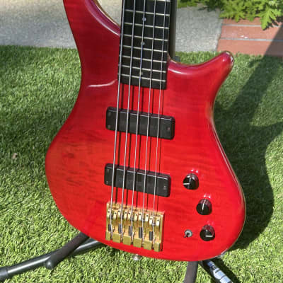 Pedulla Thunderbass 5 string for sale