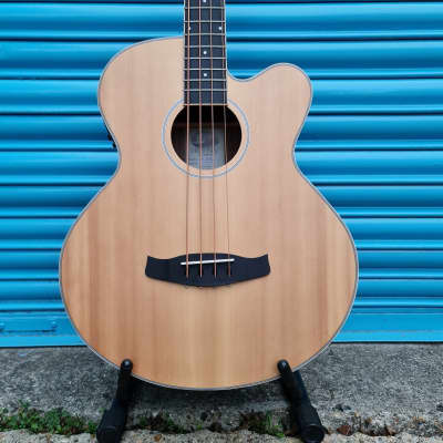Tanglewood DBT AB BW Discovery Electro Acoustic Bass image 4