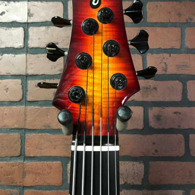 F Bass BNF 6 String Fretless Bass AC signed Fbass image 4