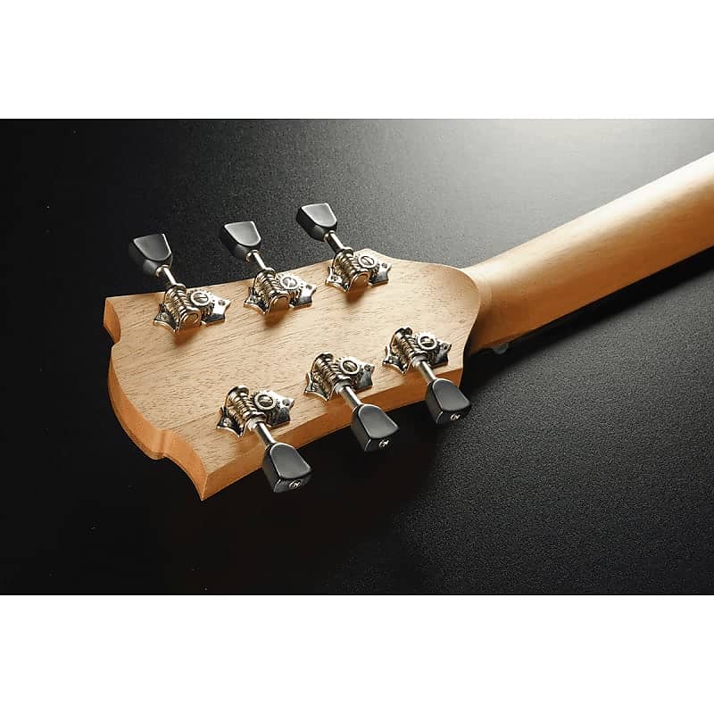 アコースティックギター tramontane model T70ACE 楽天市場】【チューナー・弦・ストラップ付】LAG Guitars