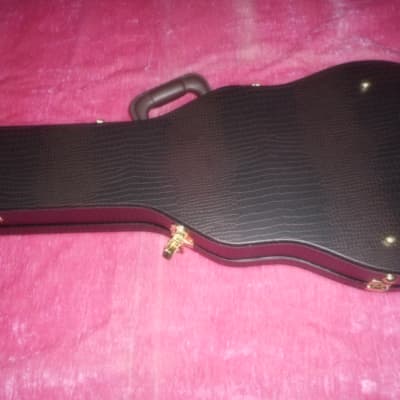Canadian Made Les Paul Standard Case (New) image 3