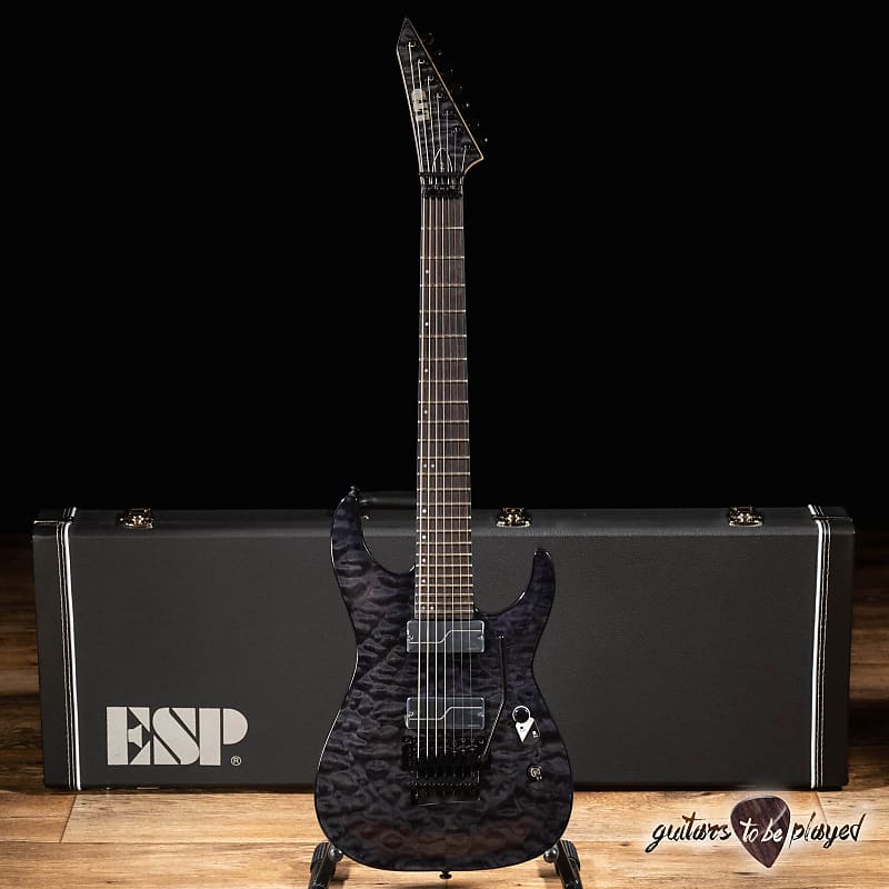 ESP LTD BUZ-7 Buz McGrath 7-String Floyd Rose Guitar w/ Case – See Thru Black image 1