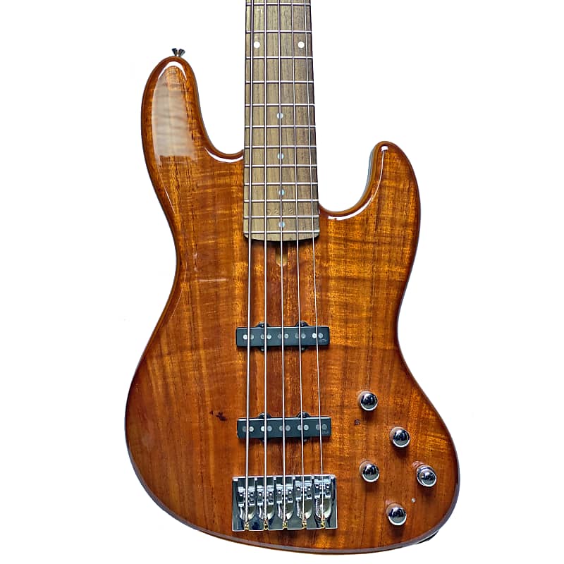 Wilkins WRTJ5 5String RoadTested Custom Bass Guitar Reverb