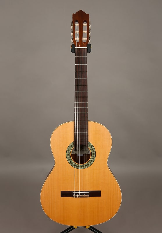 Paco Castillo 201 Solid Top Spanish Handmade Classical Guitar imagen 1