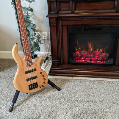 2021 Elrick Gold Series e-volution 32" Medium Scale 4-String Bass. Super Mint! Amazing Bass & Price! image 2