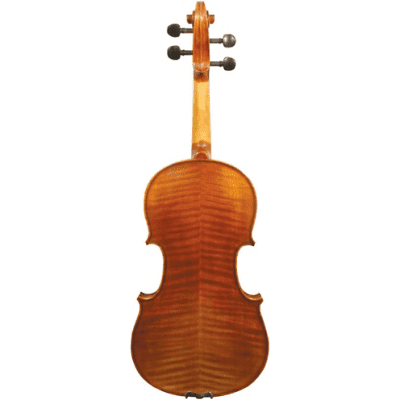 Maple Leaf Strings Apprentice Collection Violin Outfit 4/4 Size MLS130 image 2