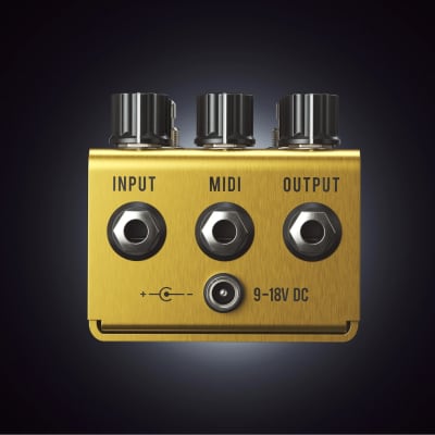 NEW! Jackson Audio Golden Boy - Joey Landreth Signature Overdrive (DEMO) image 2