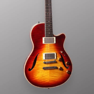 CP Thornton Guitars Professional 2023 - Darkburst w/ 5A Flame Maple Top. NEW (Authorized Dealer) image 7