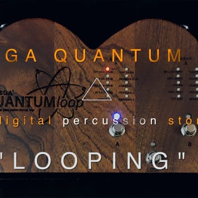 Ortega QUANTUMloop Multi Digital Percussion Stomp Box and Looper image 3