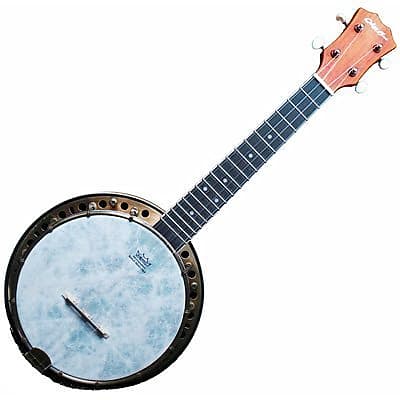 Delta blue outlet banjo