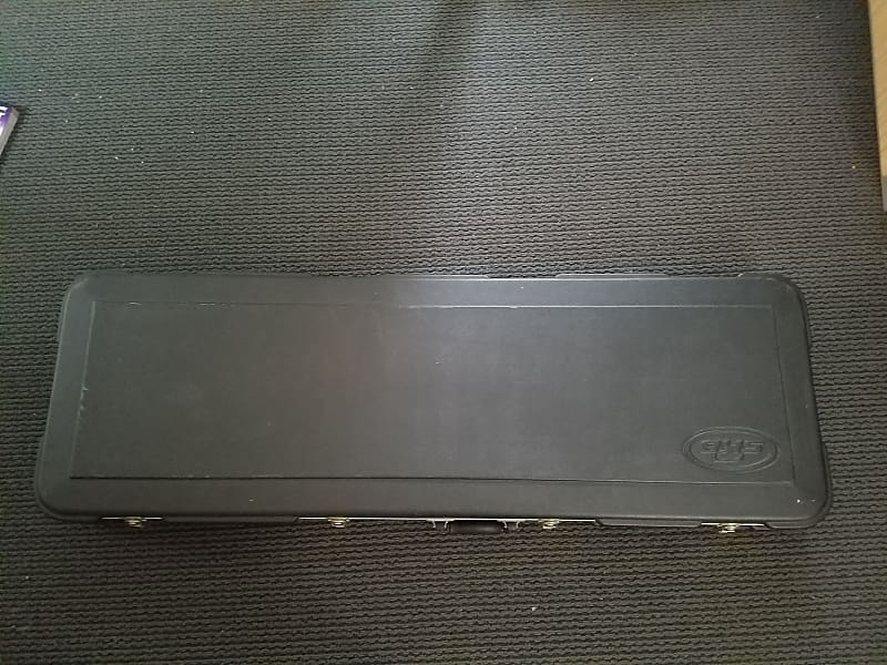 SKB Bass Case Reverb