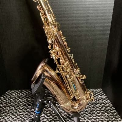 Saxophone alto professionnel YANAGISAWA A-WO20 Bronze gamme Elite - à  l'achat Atelier des Vents Marseille Yanagisawa - Finitions Saxophones Vernie