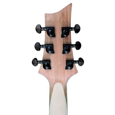 Palm Bay Guitars - Avalanche AXX Custom EMG + case image 5