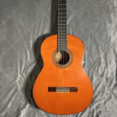 1972 Yamaha Classical Guitar GC-6D Brazilian Rosewood | Reverb Canada