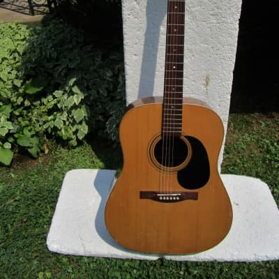 Giannini AWS-570 Dreadnought Guitar,  1974, Brazil, Plays/Sounds Very Good for sale